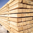Пиломатериалы хвойных пород (сосна) - Деревообработка
